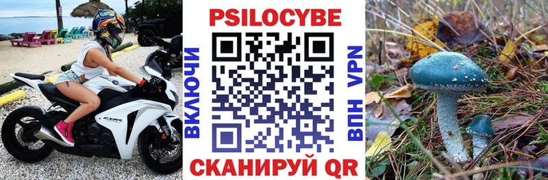 Псилоцибиновые грибы мухоморы  наркошоп  Красноармейск 